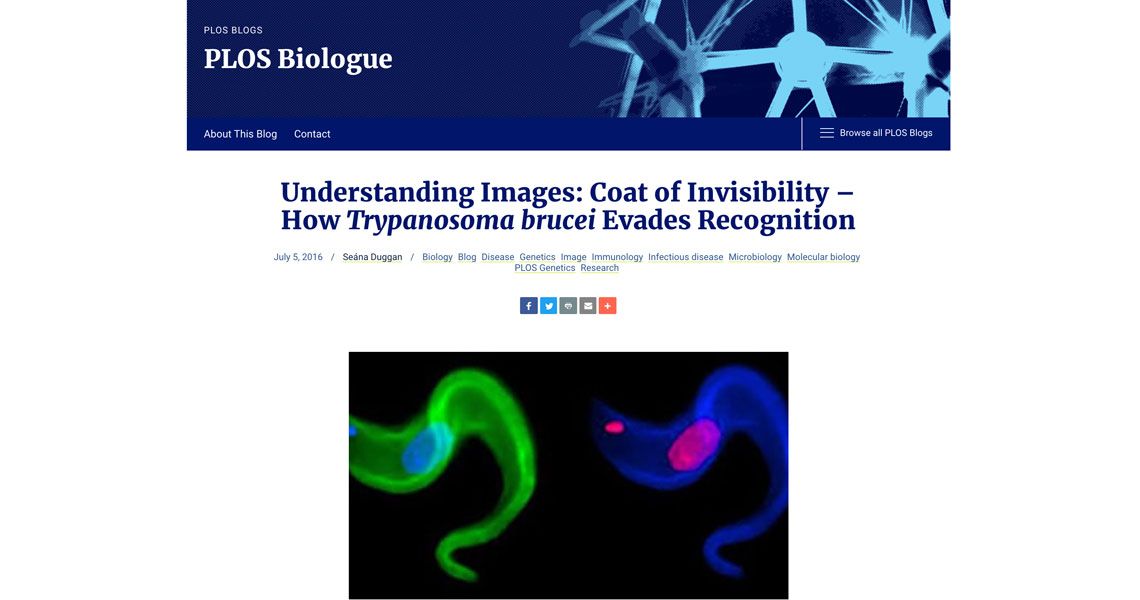 Understanding Images: Coat of Invisibility – How Trypanosoma brucei Evades Recognition