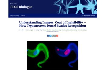 Understanding Images: Coat of Invisibility – How Trypanosoma brucei Evades Recognition